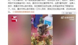 吃出老鼠头的爆料视频大全,吃出老鼠头事件视频大盘点